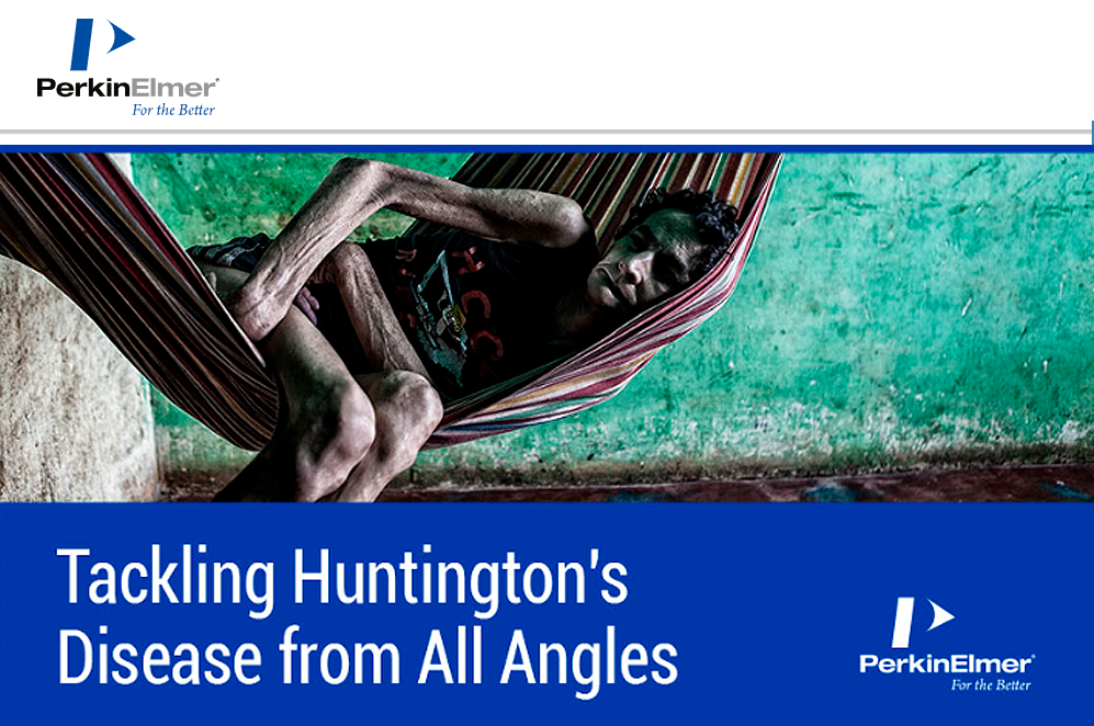 Tackling Huntington’s Disease from All Angles