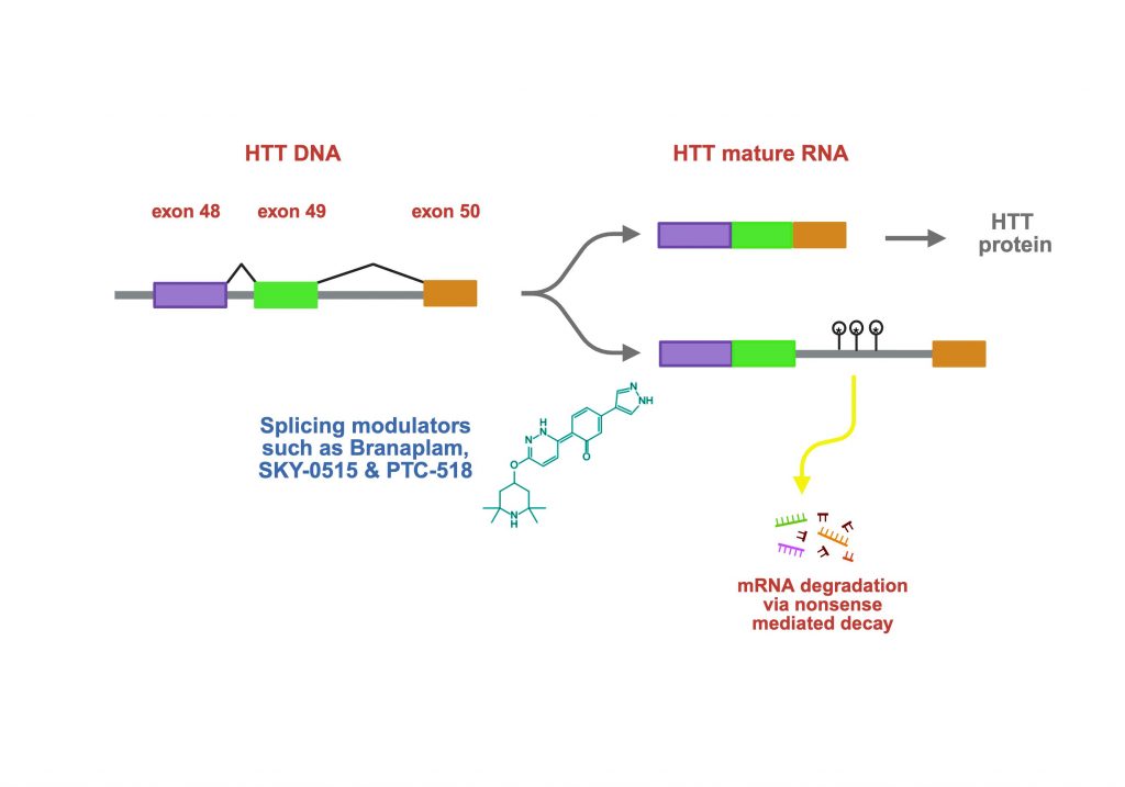 Splicing HTT oral drugs